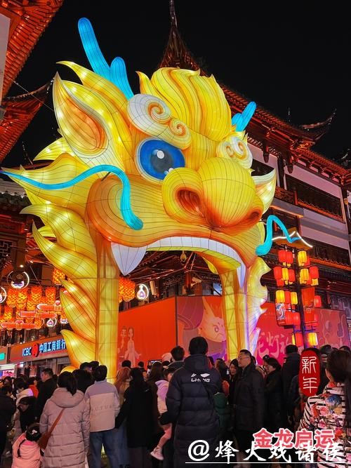 不只有豫园！罗店灯会美成诗